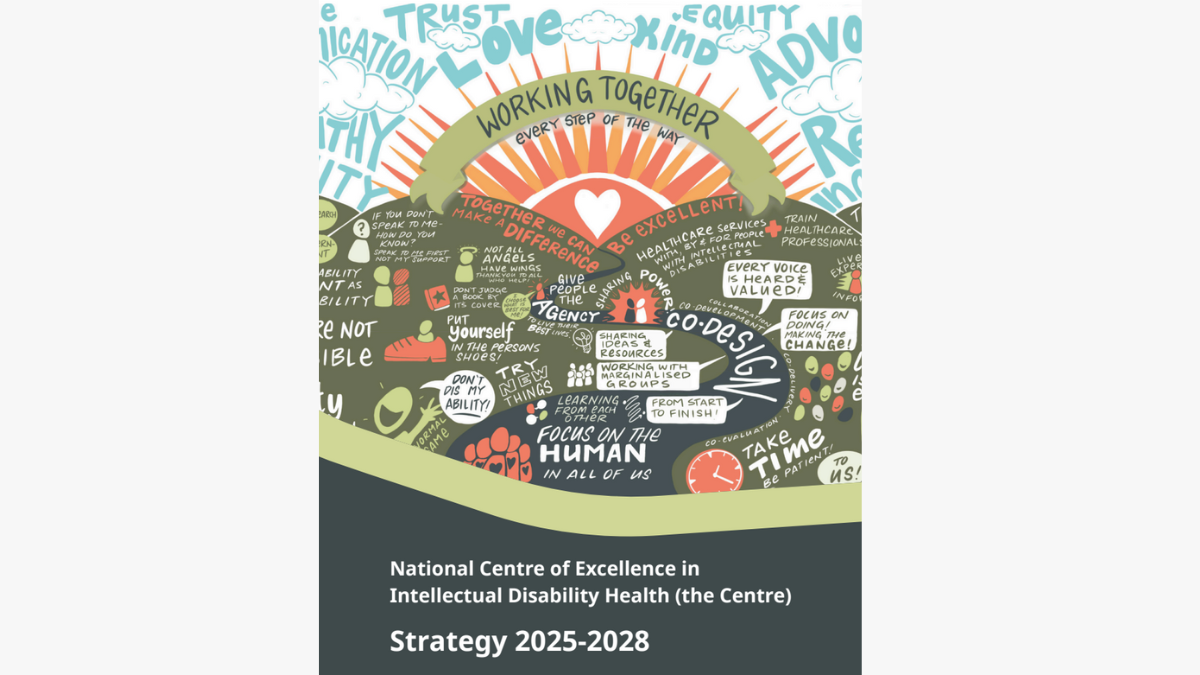 The front page of the Centre's strategy document. It has a colourful picture on it with the words "Working Together Every Step of the Way".