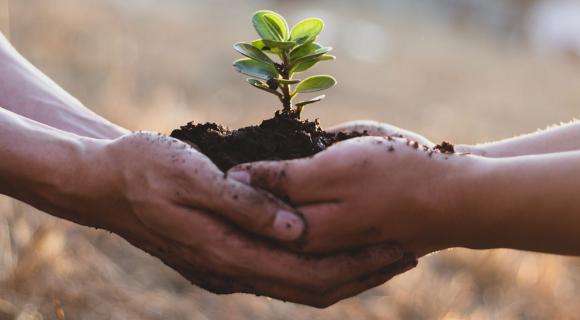 The hands of two people cradling a seedling in soil 