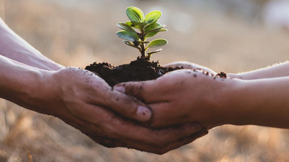 Innovation Seed Fund Grant Recipients