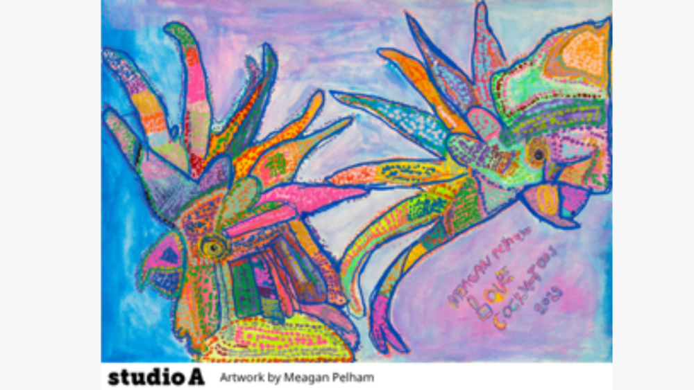 Artwork by Meagan Pelham from Studio A. A pair of cockatoos in pinks, blues, yellows, and other colours.